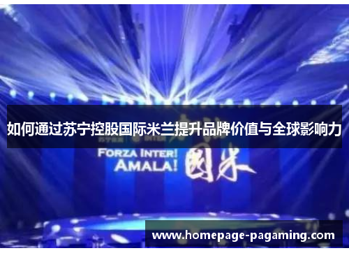 如何通过苏宁控股国际米兰提升品牌价值与全球影响力 如何通过苏宁控股国际米兰提升品牌价值与全球影响力