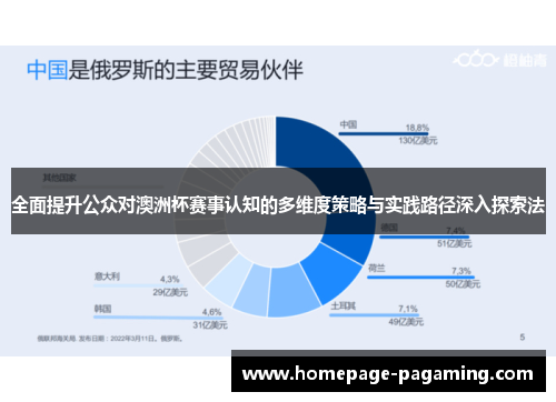 全面提升公众对澳洲杯赛事认知的多维度策略与实践路径深入探索法