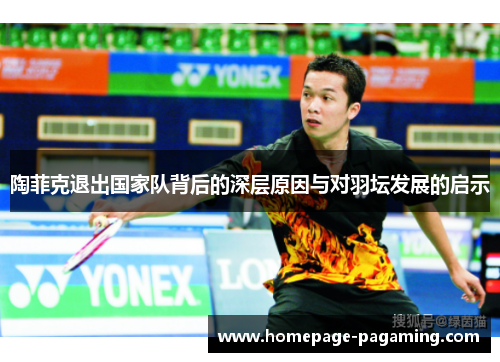 陶菲克退出国家队背后的深层原因与对羽坛发展的启示