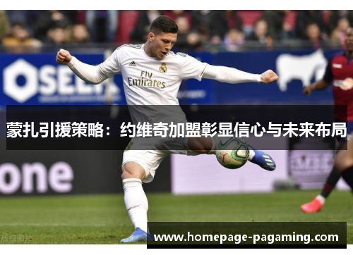 蒙扎引援策略：约维奇加盟彰显信心与未来布局